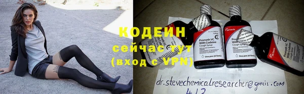 индика Ладушкин