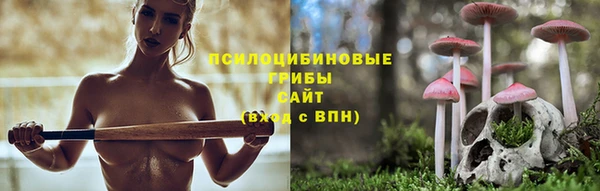 PSILOCYBIN Лагань