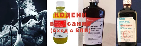 индика Ладушкин