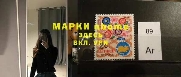 индика Ладушкин