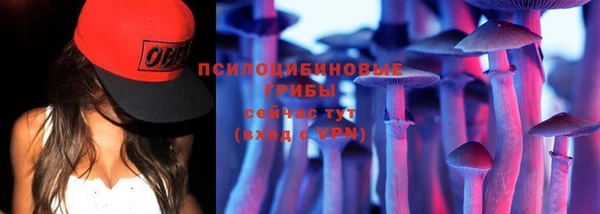 индика Ладушкин