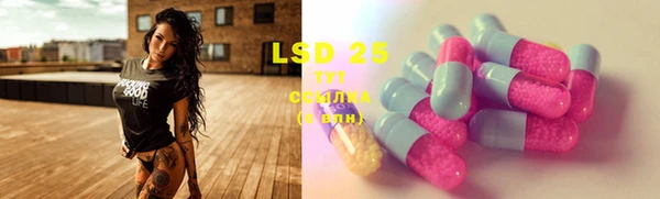PSILOCYBIN Лагань