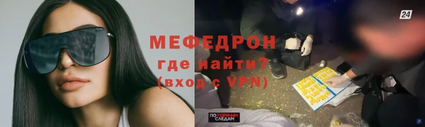 индика Ладушкин
