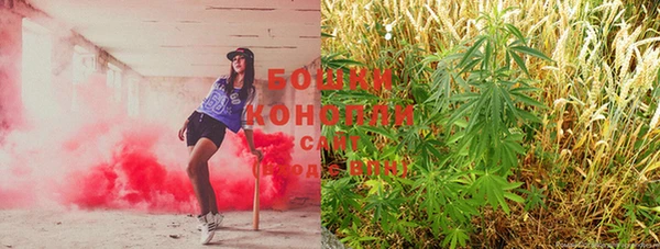 индика Ладушкин