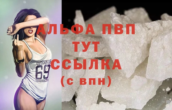 индика Ладушкин