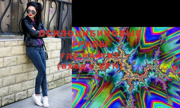 PSILOCYBIN Лагань