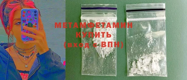 индика Ладушкин