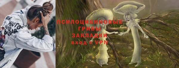PSILOCYBIN Лагань