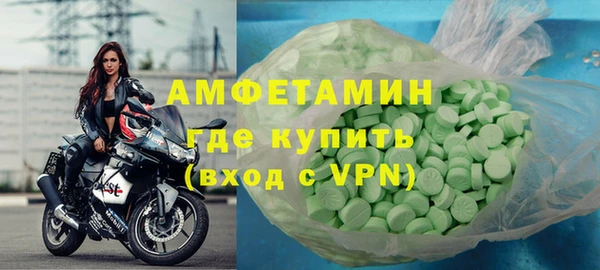 индика Ладушкин