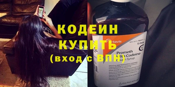 индика Ладушкин
